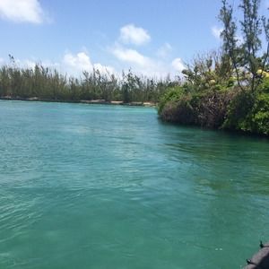 Meet your Posher, Frances